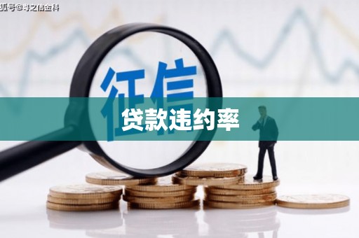 安国贷款违约率