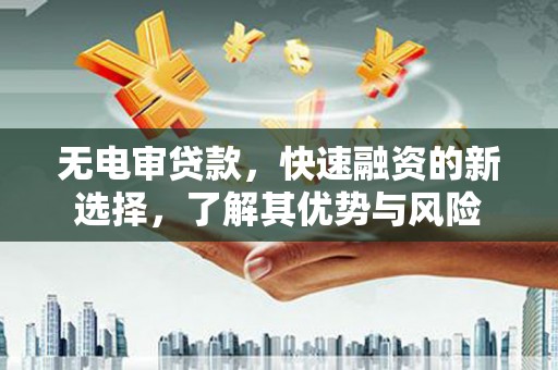 安国无电审贷款，快速融资的新选择，了解其优势与风险