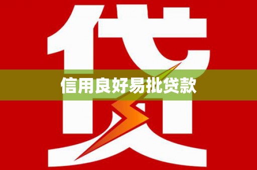 安国信用良好易批贷款