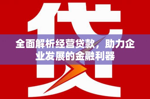 安国全面解析经营贷款，助力企业发展的金融利器
