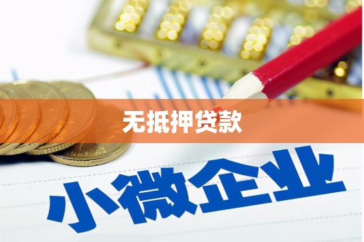 安国无抵押贷款
