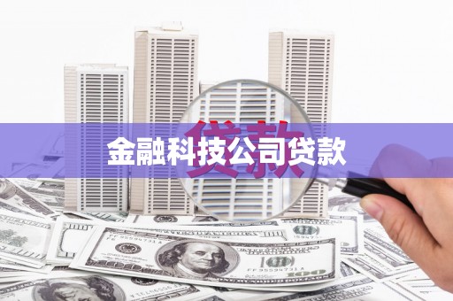 安国金融科技公司贷款
