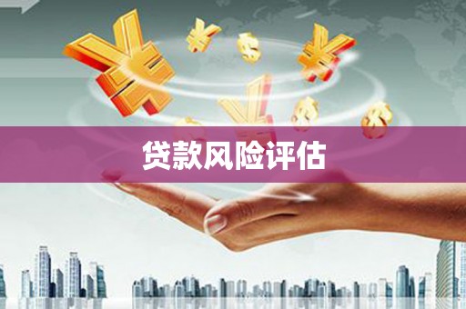 安国贷款风险评估
