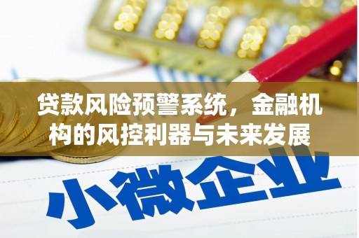 安国贷款风险预警系统，金融机构的风控利器与未来发展