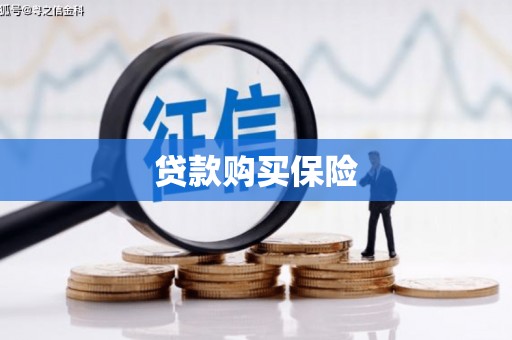安国贷款购买保险