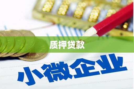 安国质押贷款