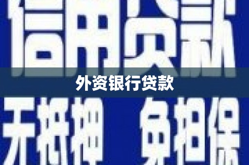 安国外资银行贷款