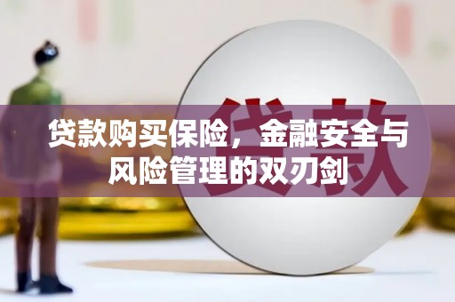 安国贷款购买保险，金融安全与风险管理的双刃剑