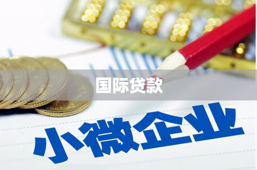 安国国际贷款