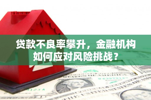 安国贷款不良率攀升，金融机构如何应对风险挑战？