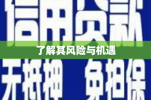 安国了解其风险与机遇