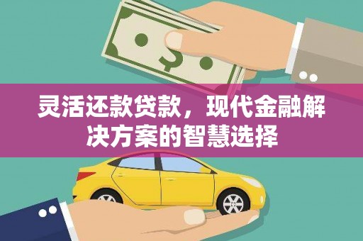 安国灵活还款贷款，现代金融解决方案的智慧选择