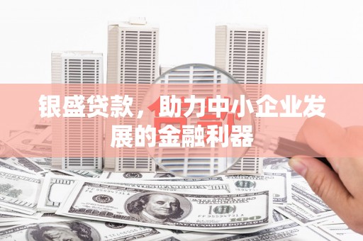 安国银盛贷款，助力中小企业发展的金融利器