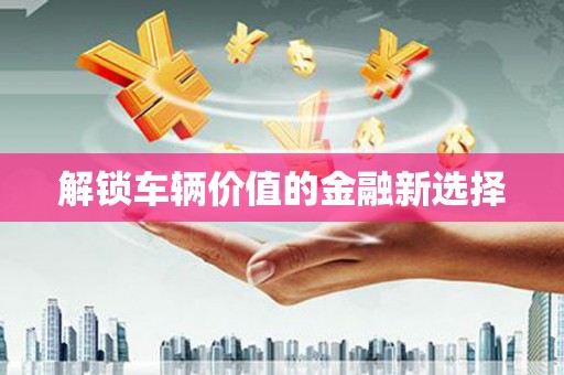 安国解锁车辆价值的金融新选择