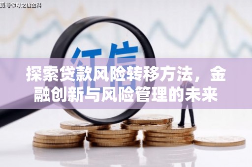 安国探索贷款风险转移方法，金融创新与风险管理的未来