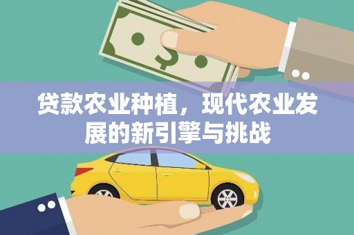安国贷款农业种植，现代农业发展的新引擎与挑战