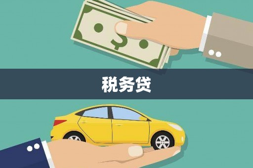 安国税务贷