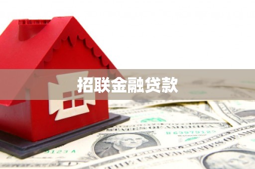 安国招联金融贷款