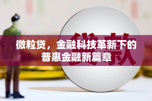 安国微粒贷，金融科技革新下的普惠金融新篇章