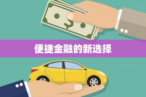 安国便捷金融的新选择