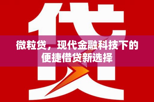 安国微粒贷，现代金融科技下的便捷借贷新选择