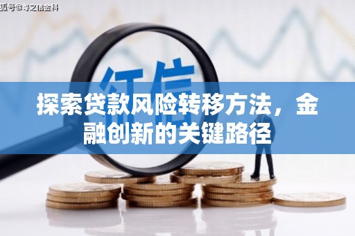安国探索贷款风险转移方法，金融创新的关键路径