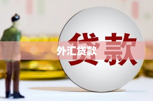 安国外汇贷款