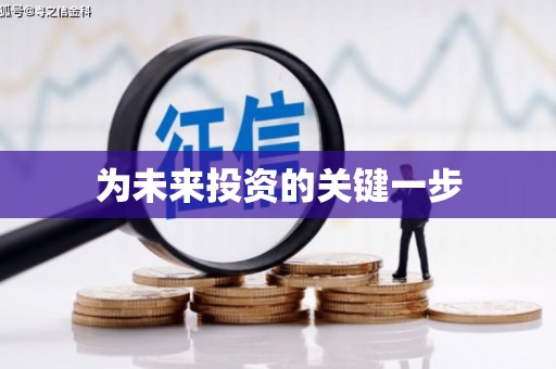 安国为未来投资的关键一步