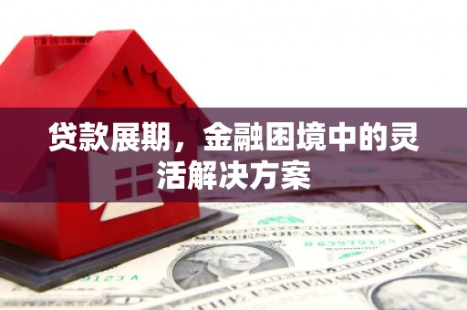 安国贷款展期，金融困境中的灵活解决方案