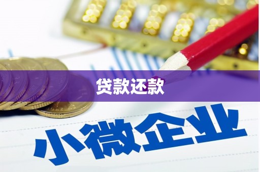 安国贷款还款