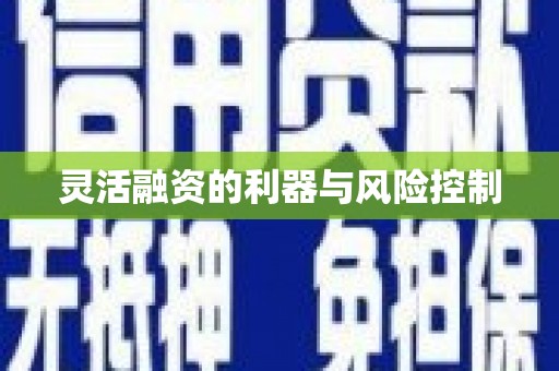 安国灵活融资的利器与风险控制