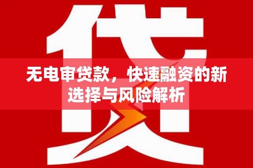 安国无电审贷款，快速融资的新选择与风险解析