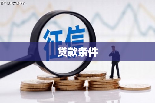 安国贷款条件