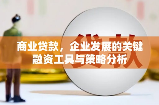安国商业贷款，企业发展的关键融资工具与策略分析