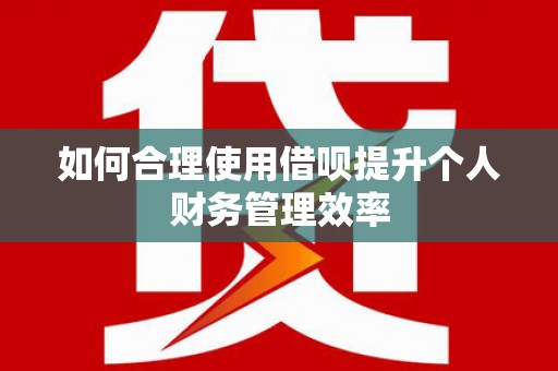 安国如何合理使用借呗提升个人财务管理效率