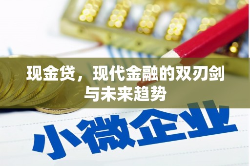 安国现金贷，现代金融的双刃剑与未来趋势