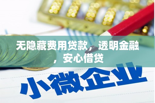 安国无隐藏费用贷款，透明金融，安心借贷