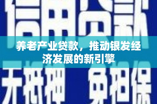 安国养老产业贷款，推动银发经济发展的新引擎
