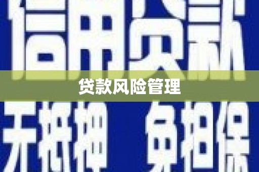 安国贷款风险管理