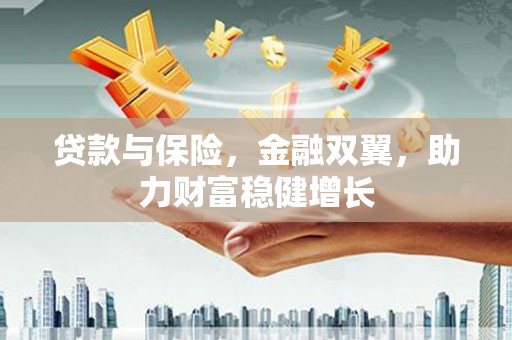安国贷款与保险，金融双翼，助力财富稳健增长