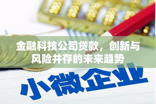 安国金融科技公司贷款，创新与风险并存的未来趋势