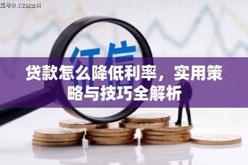 安国贷款怎么降低利率，实用策略与技巧全解析