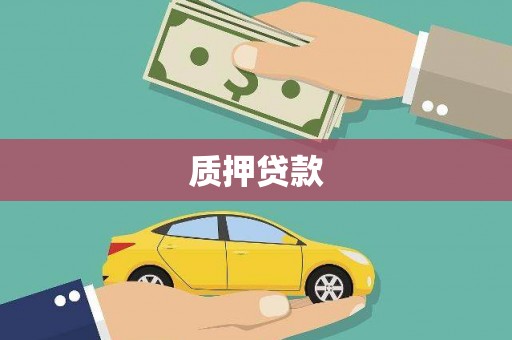 安国质押贷款