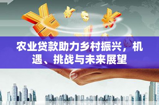 安国农业贷款助力乡村振兴，机遇、挑战与未来展望