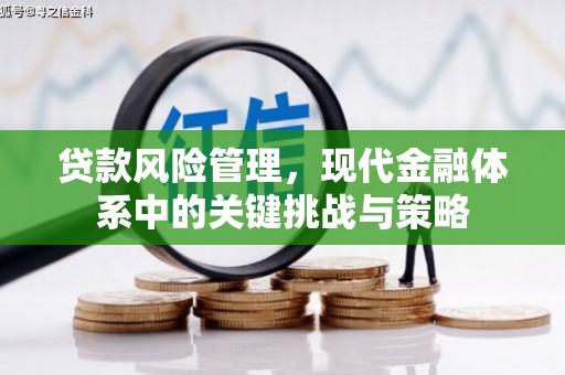安国贷款风险管理，现代金融体系中的关键挑战与策略