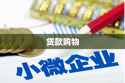 安国贷款购物