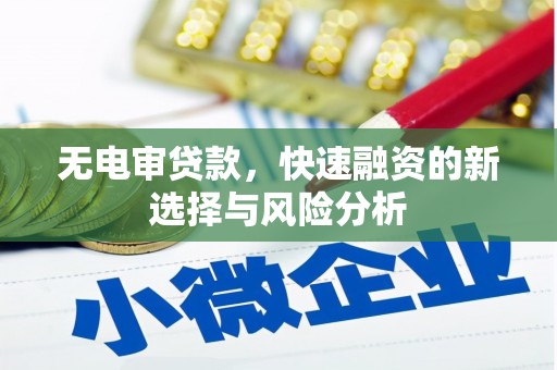 安国无电审贷款，快速融资的新选择与风险分析