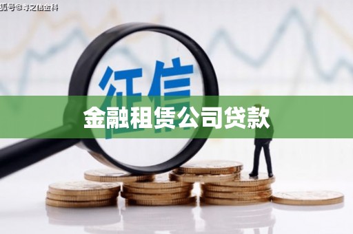 安国金融租赁公司贷款
