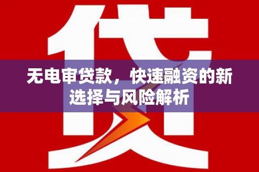 安国无电审贷款，快速融资的新选择与风险解析