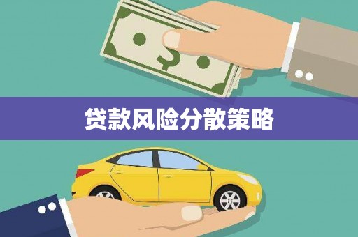安国贷款风险分散策略